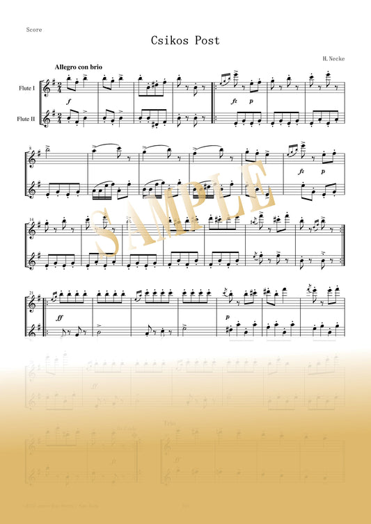 【PDF】Csikos Post / H.Necke