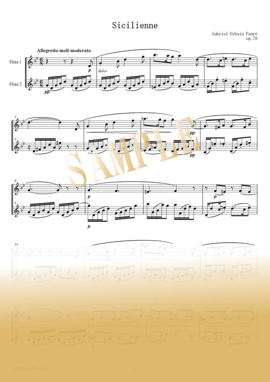 [PDF] 威尼斯狂歡節 (Junin) 長笛二重奏完整版